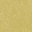 Линолеум Forbo Marmoleum Marbled Fresco 3259-325935 mustard  | FLOORDEALER